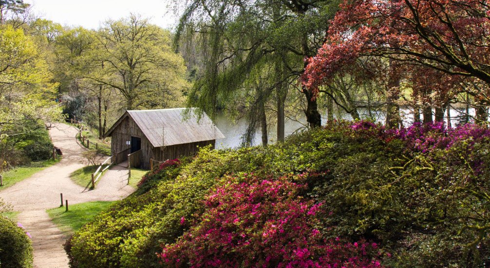 National Trust - Winkworth Arboretum, United Kingdom
